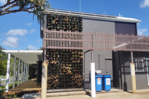 Commercial renovation Dowling & Neylan Noosa Office - Green Wall