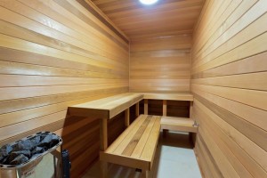 New home Grosvenor Terrace Noosa Heads - Sauna